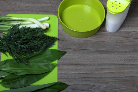 Fresh greens neatly laid out on the tabletop. Fragrant onions, dill and wild garlic. Near the container for salad, saltcellar and cutting board.の写真素材