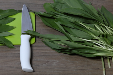 Fresh greens neatly laid out on the tabletop. Fragrant wild garlic. Next to the kitchen knife and cutting board. Ingredients for healthy salad.の写真素材