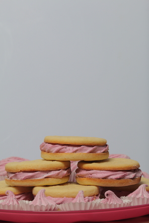 Cooked marshmallow sandwiches. They lie on plate. Next on the plate is a marshmallow of various sizes.の写真素材