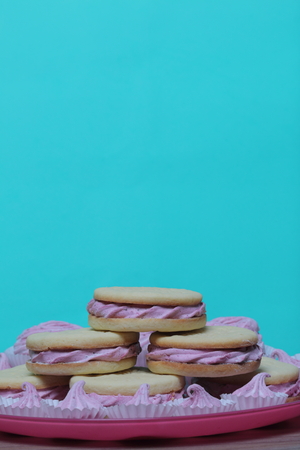 Cooked marshmallow sandwiches. They lie on plate. Next on the plate is a marshmallow of various sizes.の写真素材
