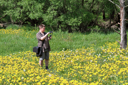 Young plump man in a meadow with blooming dandelions. Conducts video recording on a smartphone installed on a gimbal. Near the river flows.の写真素材