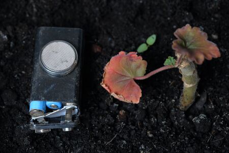 Spent batteries lie on the ground. Covered with corrosion. A fading plant grows from the ground. Recycling and environmental protection.の写真素材