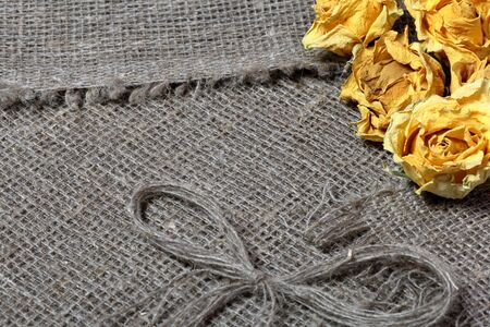 Coarse linen fabric. On it are dried yellow roses and a bow of linen threads.の写真素材