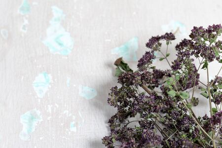 A bunch of dried grass. Thyme garden. Against the background of the old wall with peeling paint.の写真素材