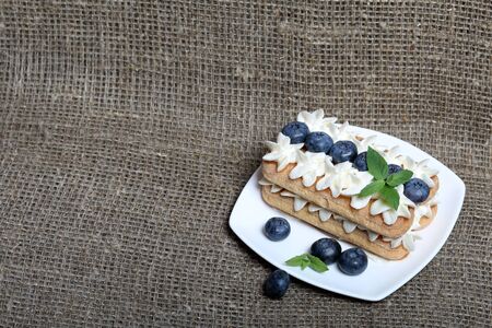 Cakes made from Italian savoyardi cookies and cream. Decorated with blueberries and mint leaves....