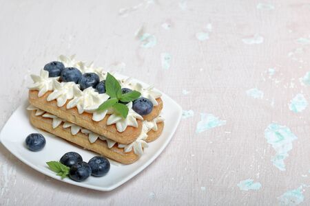 Cakes made from Italian savoyardi cookies and cream. Decorated with blueberries and mint leaves. On...