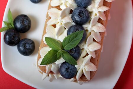 Cakes made from Italian savoyardi cookies and cream. Decorated with blueberries and mint leaves....