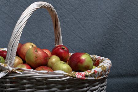 A large wicker basket with ripe juicy apples. New crop. On a gray background.の写真素材