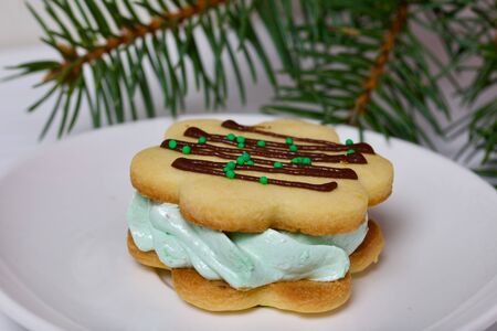 Marshmallows and a cup of coffee. Desserts for winter parties. Sweets spruce branch.の写真素材