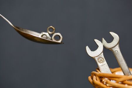 Horn wrenches in the nest. Spoon with nuts. Imitation of spoon feeding.の写真素材