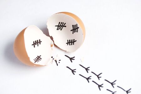 Chopped eggshell. It marks the days past. Traces of chicken are visible from the shell. Chicken hatching. On white background.の写真素材