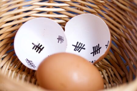 Chipped egg shell and egg in the nest. In the shell past days are marked with dashes. Chicken...
