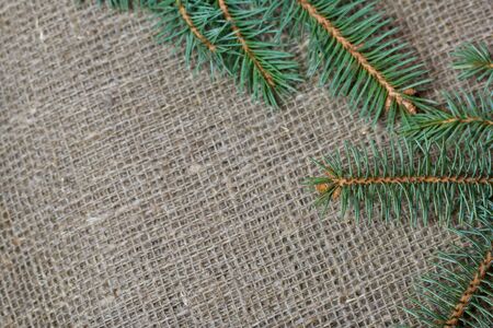 Fir branches on a background of linen.の写真素材