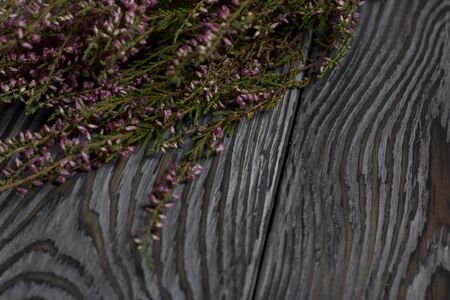 Bouquet of dried heather. Against the background of aged wooden boards with a black structure.