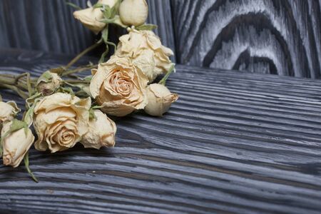 Dried roses on a background of brushed boards.の写真素材