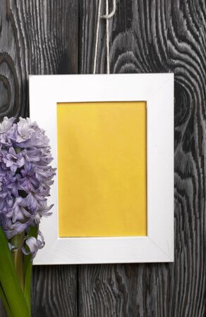 Lilac blooming hyacinth. The photo frame is white with a yellow field. Located against the backdrop of brushed pine boards painted in black and white.の写真素材