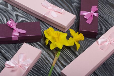 A bouquet of yellow daffodils lies on the surface of brushed pine boards. Near cardboard boxes with...