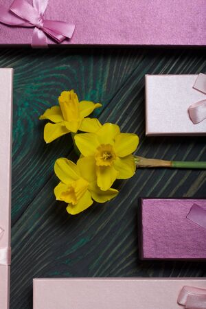 A bouquet of yellow daffodils lies on the surface of brushed pine boards. Near cardboard boxes with gifts. Pink and lilac, decorated with ribbon bows.の写真素材