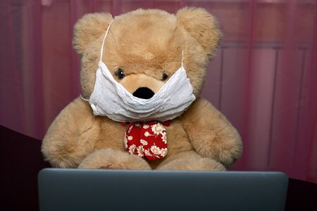 Soft toy, bear, in a protective gauze mask. Sits at a laptop. Symbol of self-isolation during a virus outbreak.の写真素材