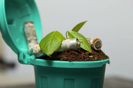 Trash bin filled with earth. A sprout grows in it. Nearby are spent batteries coated with corrosion. World Environment Day.の写真素材