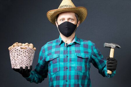A man holds in his hands a basket with walnuts and a hammer. Farmer with a protective mask on his face. There is a straw hat on his head. Shot on a gray background.の写真素材