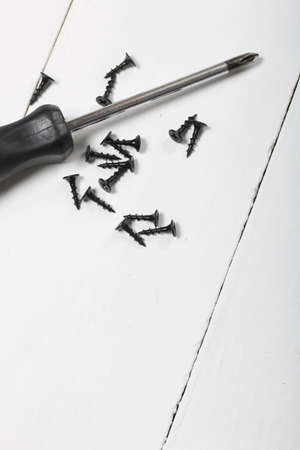 A screwdriver and a handful of screws. On white background.の写真素材