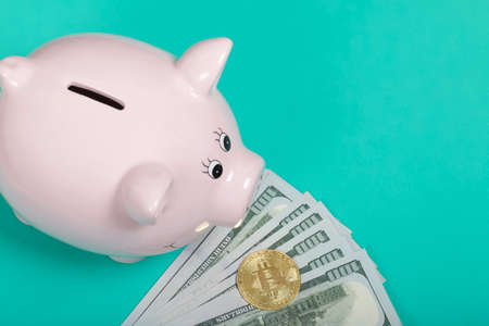 Piggy bank in the form of a pig. Nearby are dollar bills and bitcoin.