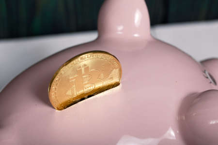 Piggy bank in the form of a pig. Bitcoin sticks out in it.の写真素材