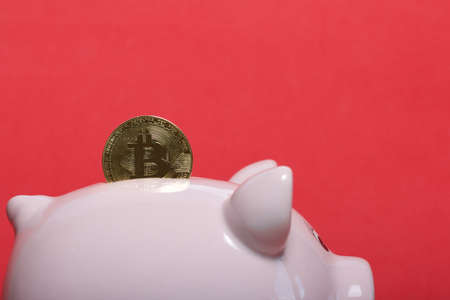 Piggy bank in the form of a pig. Bitcoin sticks out in it. On a coral background.