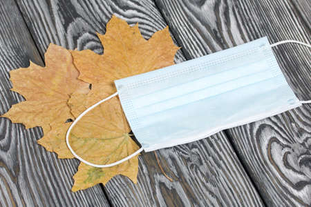 Medical mask among dried maple leaves. On brushed pine boards painted black and white.