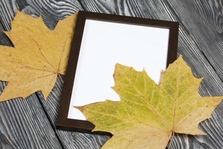Dried maple leaves and photo frame. With a blank margin for the image. On brushed pine boards...