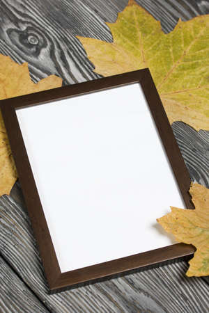 Dried maple leaves and photo frame. With a blank margin for the image. On brushed pine boards...