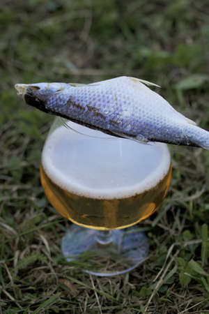 Dried river fish lies on a glass of beer. The glass is on the grass.