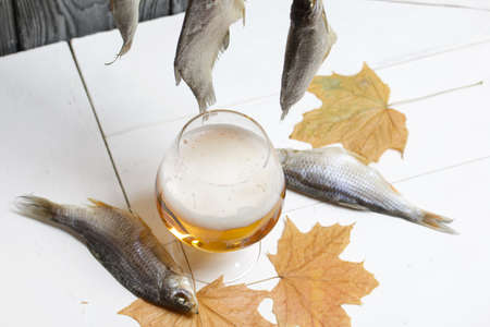 Dried river fish hangs on a rope. Nearby there is a glass of beer, dried maple leaves lie.