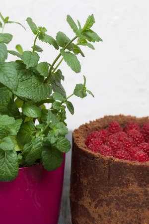 No-bake chocolate cake with cream cheese. Garnished with raspberries, blueberries and mint leaves. Nearby is a pot of growing mint. On the surface of pine boards painted in black and white.の写真素材