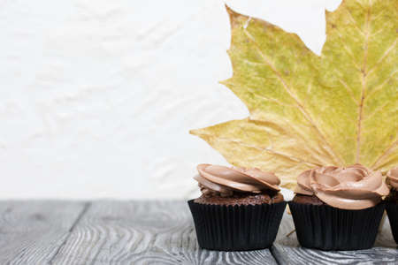 Chocolate cupcakes with cream cheese cream. Nearby are dried maple leaves. On pine planks painted black and white.の写真素材