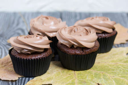 Chocolate cupcakes with cream cheese cream. Nearby are dried maple leaves. On pine planks painted...