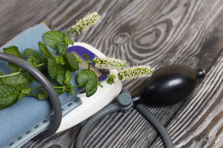 Blood pressure monitor and several branches of mint blossoms. Diagnostics and treatment of...