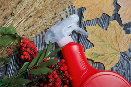 Plastic spray bottle with antiseptic. Around is a bouquet of dried grass, rowan branches and dried...