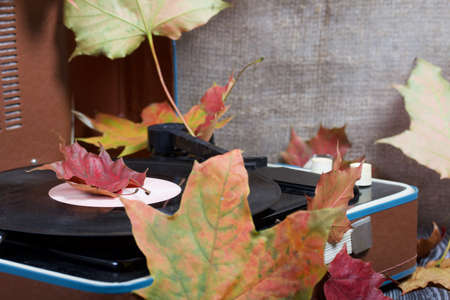 Old turntable. Scattered with autumn maple leaves. Retro party equipment.