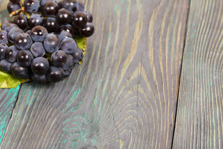 Bunches of dark blue grapes. Lies on black-green pine boards.の写真素材