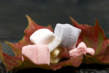 Marshmallows of different colors. They lie on an autumn maple leaf. Against the background of black pine boards.の写真素材