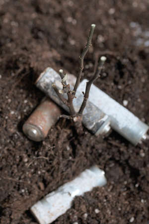 A withered plant. Lies on the ground among corroded waste batteries. Environmental protection and...