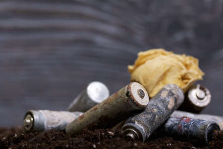 Corroded batteries covered with earth. Dried rosebud. Environmental protection and waste recycling....