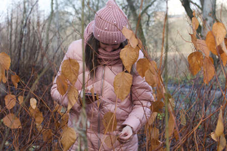 Girl in autumn clothes. Walking in nature in the park. Photographs beautiful leaves.の写真素材