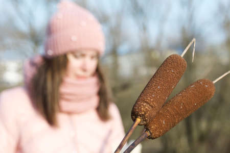 A girl in autumn clothes with a reed in her hands. Focus on reeds, girl out of focus. Walking in nature in the park.の写真素材