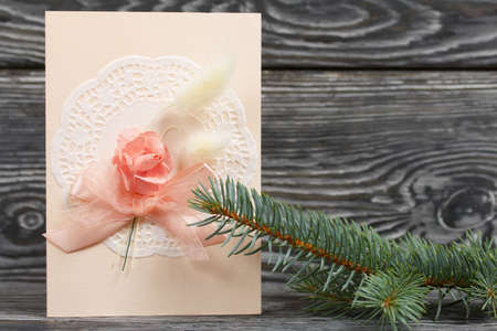 Greeting card with elements of pink shades. Spruce branch. On pine planks in black.