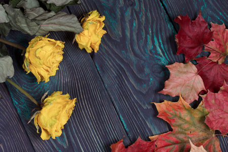 A bouquet of dried yellow roses. Dried autumn leaves. On pine boards.の写真素材