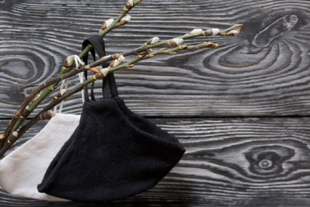 Blossoming willow branches. They are wearing medical masks. Against the background of pine boards.の写真素材