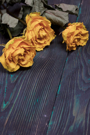 A bouquet of dried yellow roses. On pine boards. View from above.の写真素材